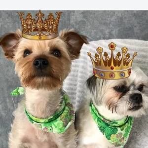 Meet your Posher, Terri